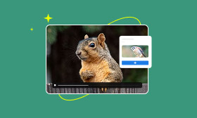 Add Video to Video AI